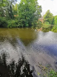 Dorfteich Löhrstorf-4