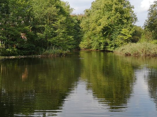 Dorfteich Löhrstorf-2