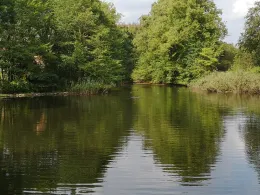 Dorfteich Löhrstorf-2