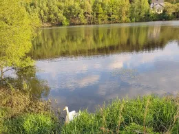 Vorsperre Thoßfell-3