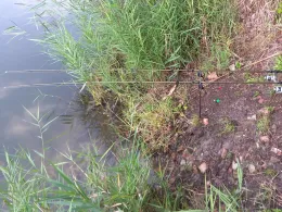 An der Einheit (Hohenmölsen)-1