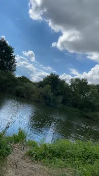 Mosel (Berg-sur-Moselle)-2