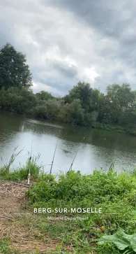 Mosel (Berg-sur-Moselle)-1