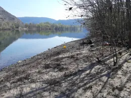 Yachthafen Winningen-1