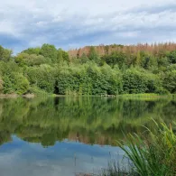 Vereinsgewässer ASV Waldfrieden-1