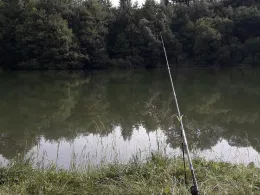 Vereinsgewässer ASV Waldfrieden-2