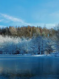 Vereinsgewässer ASV Waldfrieden
