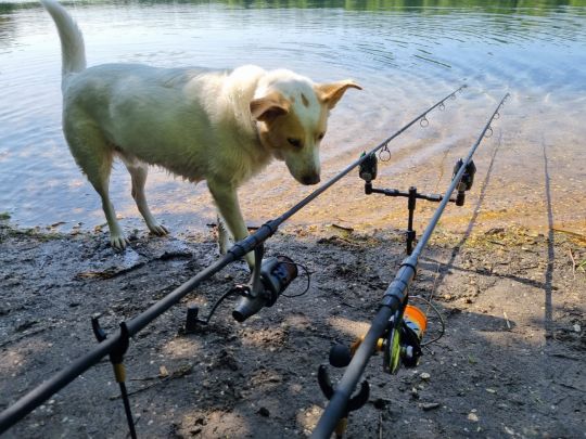 Heidesee (Bottrop)-1