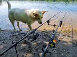 Heidesee (Bottrop)-1