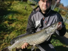 Hassel (Hasselfelde)