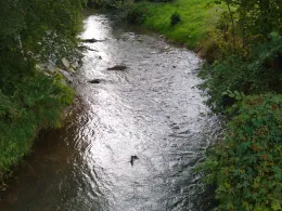 Große Triebisch (Rothschönberg)-1