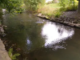 Große Triebisch (Rothschönberg)-0