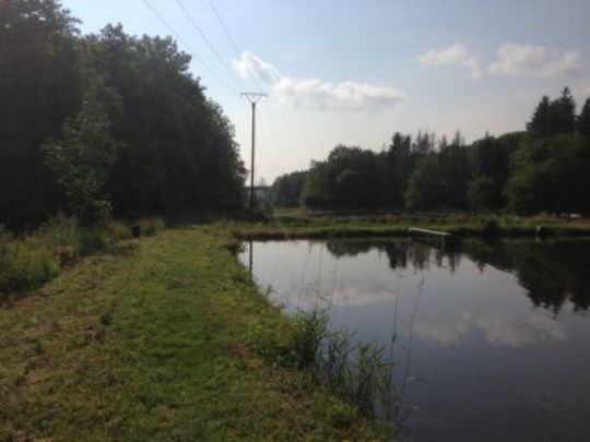 Angelanlage Luckenbach-3