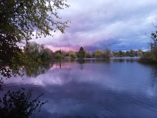 Großer Döhrener Teich ALLE ANGELN