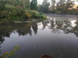 Glan (Odernheim am Glan)-4