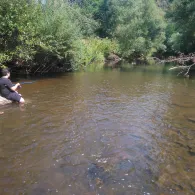 Glan (Odernheim am Glan)-1