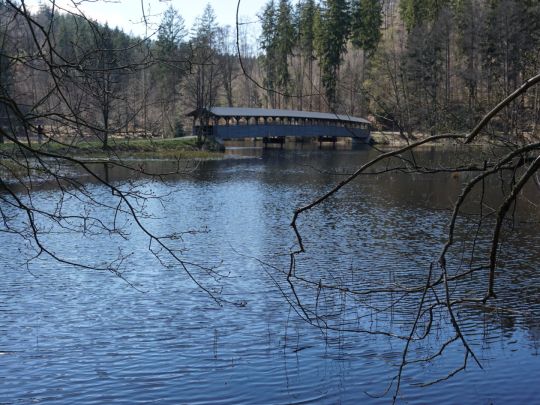 Saale (Talsperre Walsburg)-1