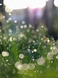 Schwarze Laber (Eisenhammer-Türklmühle)-2