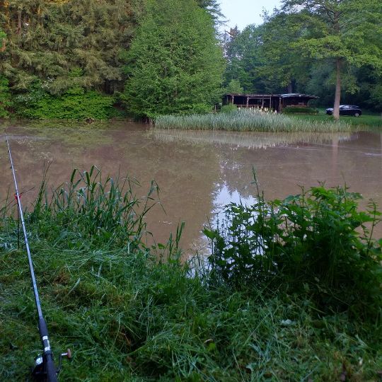 Vereinsweiher ASV Hüffler-1