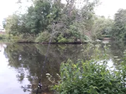 Regnitz (Buckenhofen)