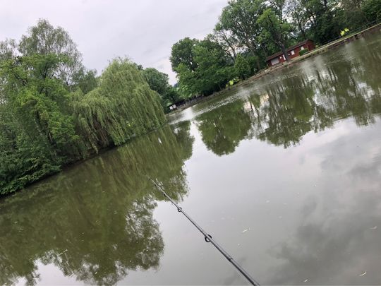 Tuchmacherteich (Kamenz)-1