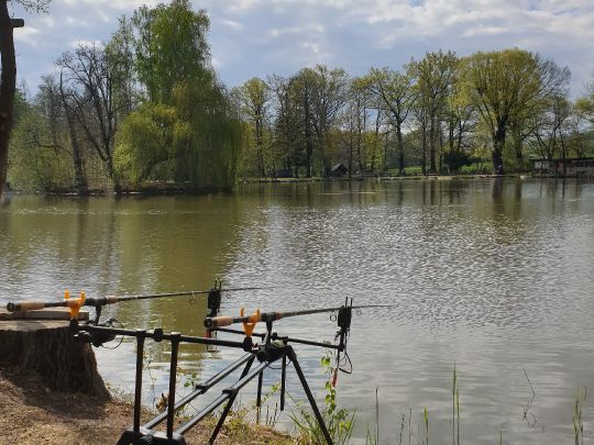 Tuchmacherteich (Kamenz)-4