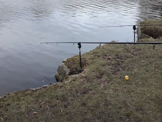 Tuchmacherteich (Kamenz)-3