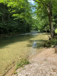 Leitzach (Wörnsmühl)