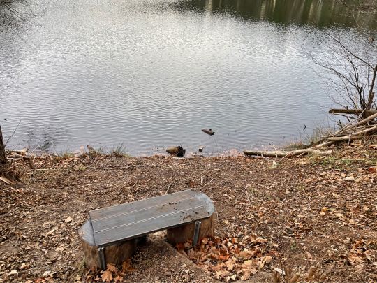 Chausseeloch (Halbe)