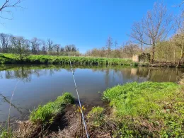 Weiße Elster (Schkeuditz)-3