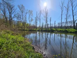 Weiße Elster (Schkeuditz)-2