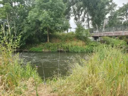 Weiße Elster (Schkeuditz)-4