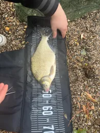 Abbaufeld Elbekies IV (Mühlberg)-4