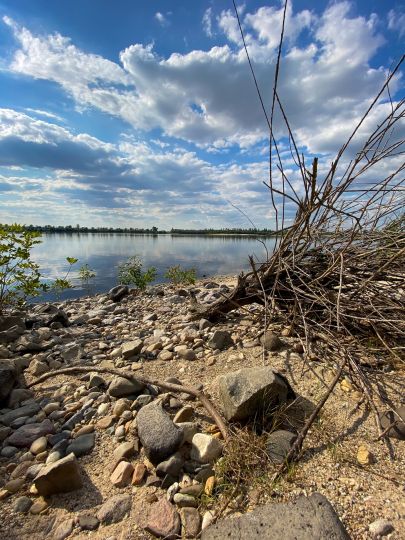 Abbaufeld Elbekies IV (Mühlberg)-4