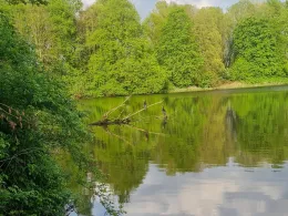 Milli (Delmegrundsee)-2