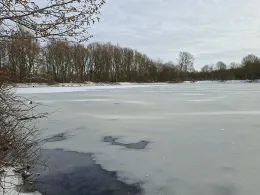 Milli (Delmegrundsee)-3