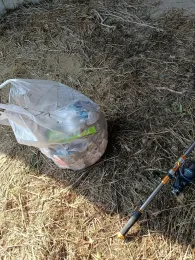 Schunter (Braunschweig)-4