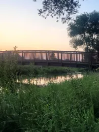 Schunter (Braunschweig)-2