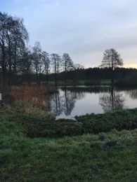 Hunte-Altarm Moormarsch