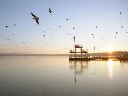 Großer Müggelsee-4