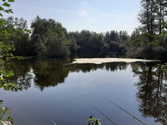 Dannenberger Moor (Bad Schwartau)-1