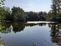 Dannenberger Moor (Bad Schwartau)-1