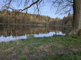 Brettmühlenteich (Niederzwönitz)-3