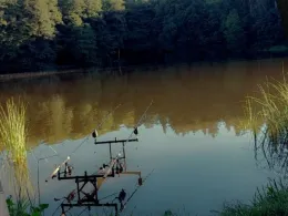 Brettmühlenteich (Niederzwönitz)-3