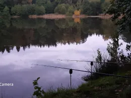 Brettmühlenteich (Niederzwönitz)-1