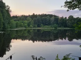 Brettmühlenteich (Niederzwönitz)-2