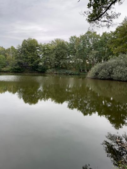 Ziegeleiteich Simmersdorf-3