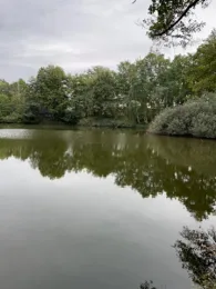 Ziegeleiteich Simmersdorf-3