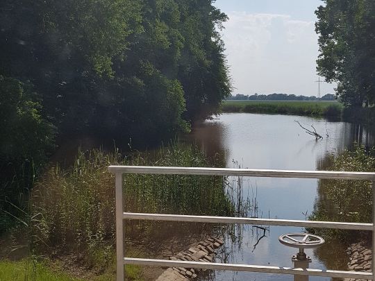 Steinkolk u. Kläne (Glindenberg) angeln