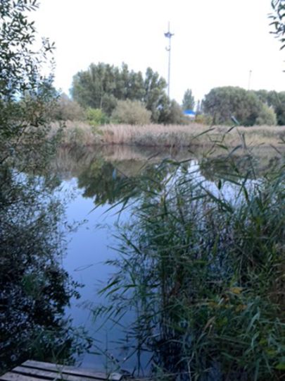 Ziegeleiteich Augustusberg